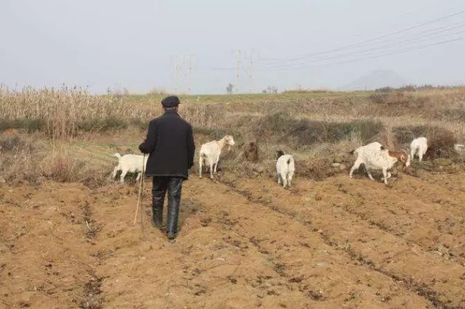 1557105219604811.jpg 640.webp (16).jpg