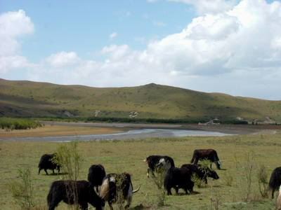 1557283233130106.jpg 201957914538389.jpg