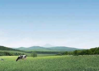 乳铁蛋白奶粉成新宠 雅士利菁珀依靠品质站稳市场(图2) 乳铁蛋白奶粉成新宠 雅士利菁珀依靠品质站稳市场(图2)