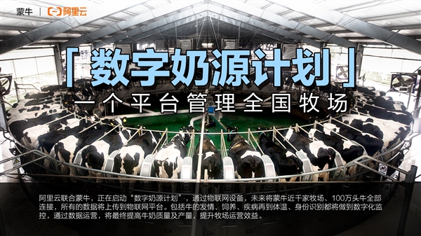 从饲养到产奶 阿里云联合蒙牛启动“数字奶源计划”