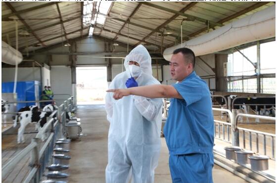 2.jpg 吴晓波参访飞鹤乳业:做好产品赢回国产奶粉尊严(图2)