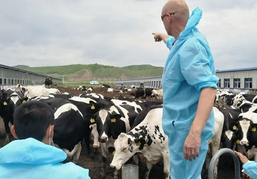 蒙牛助力奶业振兴发展 中国奶业大会落地两项战略合作(图4) 蒙牛助力奶业振兴发展 中国奶业大会落地两项战略合作(图4)