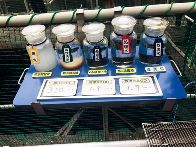 益生菌与健康事业的探秘之旅(图1) 益生菌与健康事业的探秘之旅(图1)