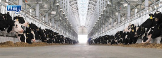 得益乳业:探索产业融合新模式,引领民族奶业振兴(图2) 图片2