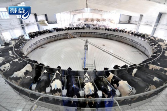 得益乳业:探索产业融合新模式,引领民族奶业振兴(图1) 图片1