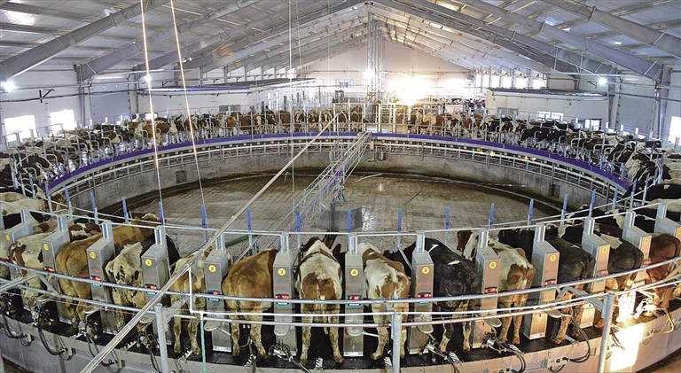 呼伦贝尔市振兴奶业再加速(图2) 呼伦贝尔市振兴奶业再加速(图2)