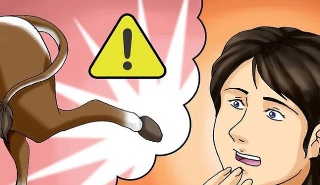 科普:牛蹄变形的原因与诊治方法!(图1) 科普:牛蹄变形的原因与诊治方法!(图1)