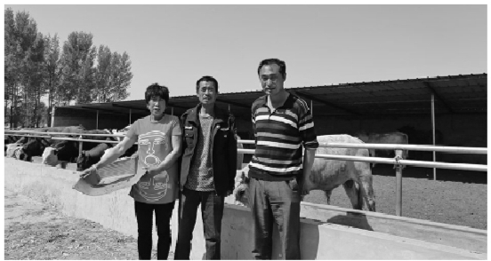 担保贷款485万 带贫困户养牛脱贫(图1) 担保贷款485万 带贫困户养牛脱贫(图1)