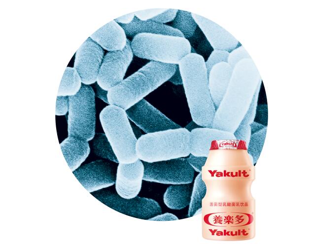 养乐多特邀“便便博士”揭秘“肠”寿之道,长三角科普活动圆满落(图4) 养乐多特邀“便便博士”揭秘“肠”寿之道,长三角科普活动圆满落(图4)