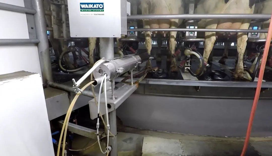 新西兰国家展团亮相“第十一届中国奶业大会暨2020中国奶业展览会”(图10) 新西兰国家展团亮相“第十一届中国奶业大会暨2020中国奶业展览会”(图10)