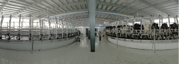 新西兰国家展团亮相“第十一届中国奶业大会暨2020中国奶业展览会”(图8) 新西兰国家展团亮相“第十一届中国奶业大会暨2020中国奶业展览会”(图8)