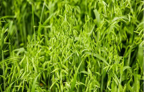 中国力量 不同凡响 君乐宝荣获人民企业社会责任奖·年度企业奖(图4) 中国力量 不同凡响 君乐宝荣获人民企业社会责任奖·年度企业奖(图4)