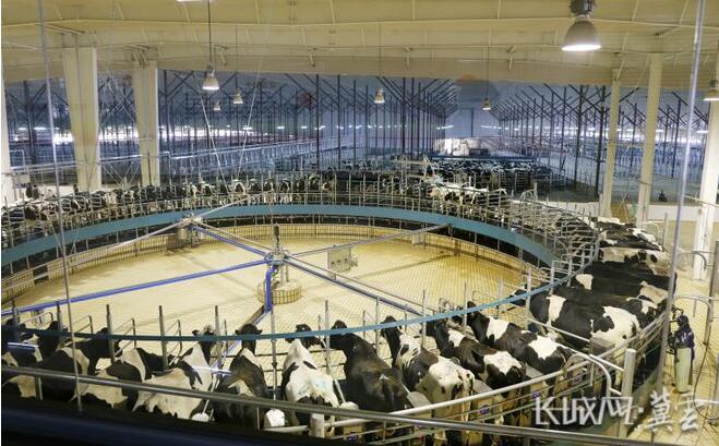 第十三届中国奶业大会暨D20峰会召开 君乐宝探索中国奶业新高度(图2) 2.jpg