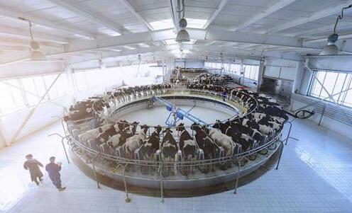 以AI捍卫安全,乳制品行业迎来叉车搬运大升级!(图3) 3.jpg