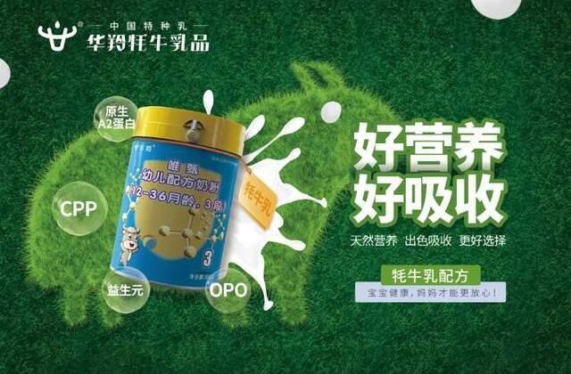 牦牛奶粉看华羚乳品!天然牧场是脱颖而出的资本(图2) 2.jpg