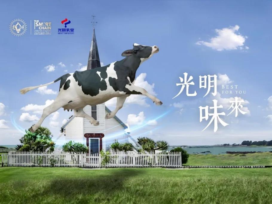 蓄力以待展新篇，光明乳业全面开启第五届进博会新征程(图1)