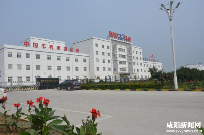 遇见咸阳·泾渭有约|雅泰乳业:让好羊奶走进每一个家庭(图2) 01