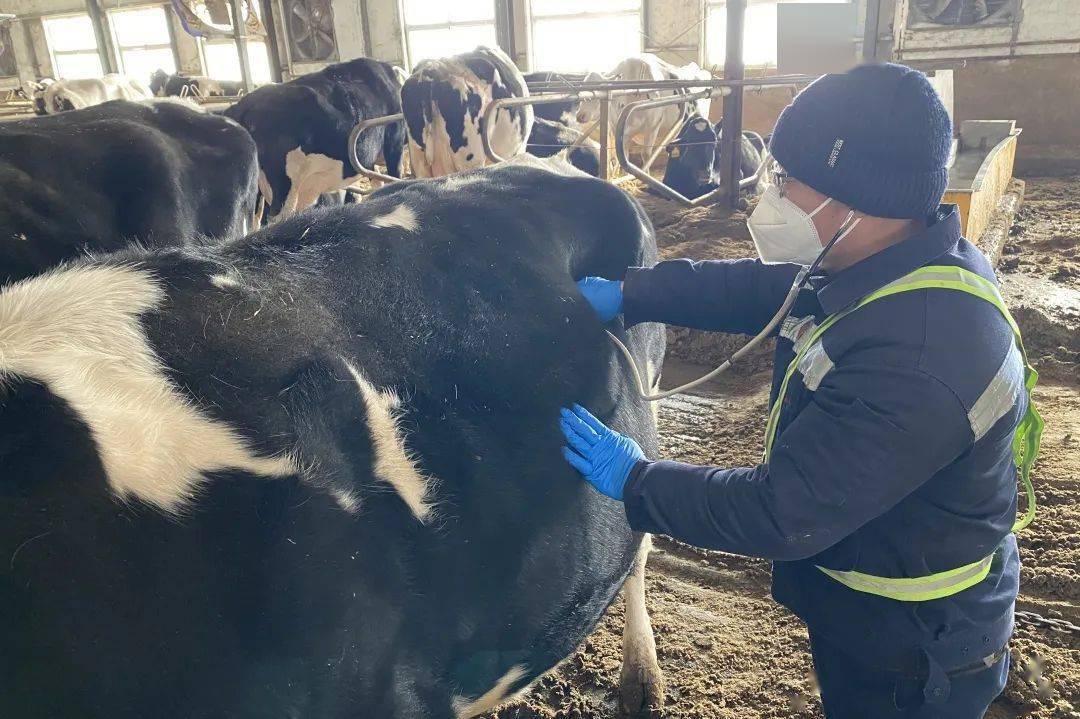 开好局 起好步 | 光明乳业满载期待迎接新运~ (图1) 开好局 起好步 | 光明乳业满载期待迎接新运~ (图1)