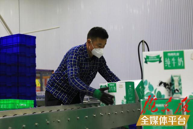 甘肃庆阳伟赫乳业:为乡村振兴注入产业动力(图4) 甘肃庆阳伟赫乳业:为乡村振兴注入产业动力(图4)