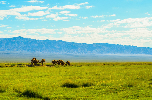 1676857999282981.png 图片4.png