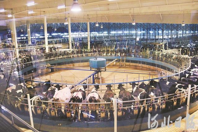 “最严”新国标,影响河北奶业几何(图4) “最严”新国标,影响河北奶业几何(图4)