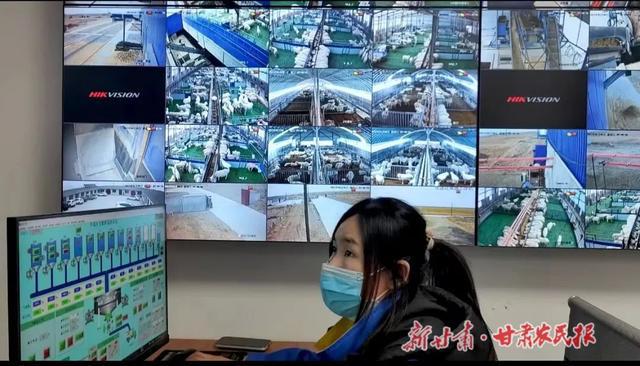 采用机械化、自动化、数字化的智慧养羊方式 促进羊养殖规模化、集约化、产业化发展水平(图2) 采用机械化、自动化、数字化的智慧养羊方式 促进羊养殖规模化、集约化、产业化发展水平(图2)