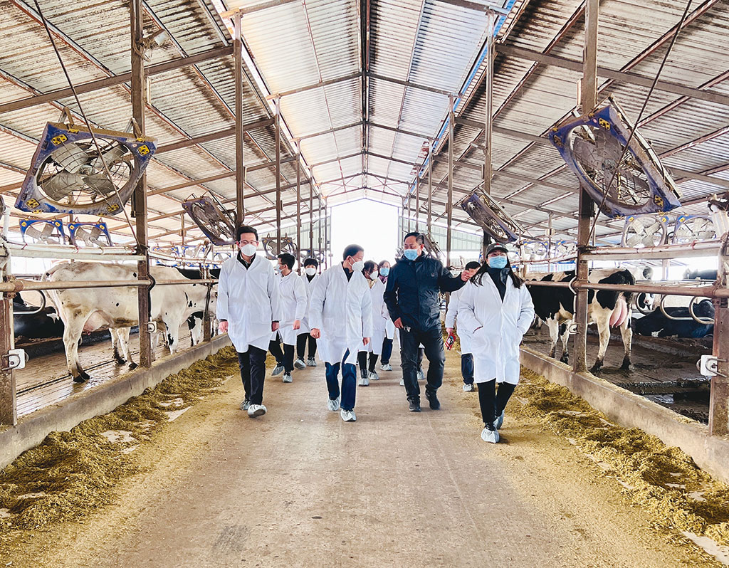 海河乳品:时刻以产品品质为核心,严把质量安全关,坚定不移走创新驱动之路(图1) 海河乳品:时刻以产品品质为核心,严把质量安全关,坚定不移走创新驱动之路(图1)