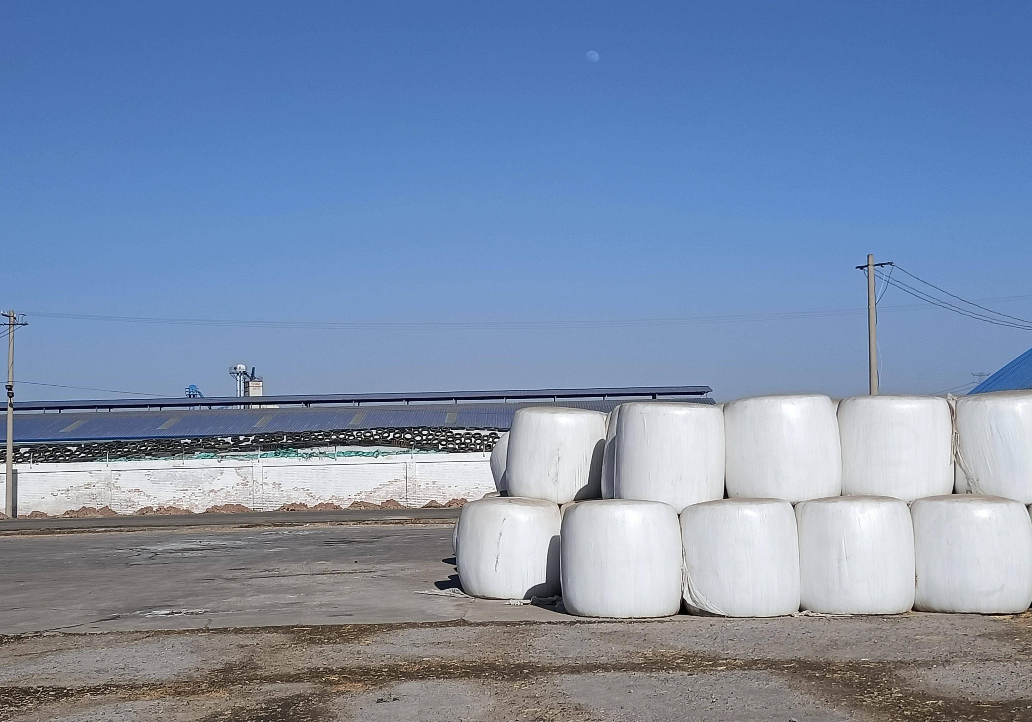 奶牛业全行业亏损,不是供求失衡那么简单,请看来自一线的调查(图2) 奶牛业全行业亏损,不是供求失衡那么简单,请看来自一线的调查(图2)