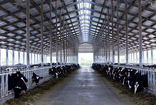 让消费者喝上放心鲜奶,光明乳业数字化供应链演绎“科技与狠活” (图5) 让消费者喝上放心鲜奶,光明乳业数字化供应链演绎“科技与狠活” (图5)