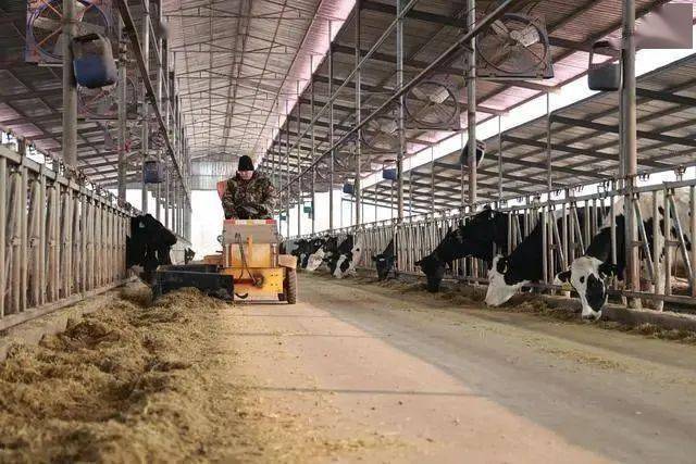 奶价下行成本上升,上游奶企利润承压(图2) 奶价下行成本上升,上游奶企利润承压(图2)