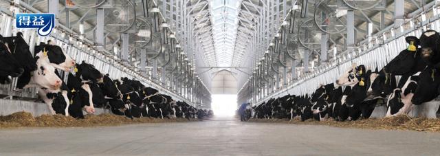 农业农村部大数据发展中心主任韩旭莅临得益乳业调研指导(图4) 农业农村部大数据发展中心主任韩旭莅临得益乳业调研指导(图4)