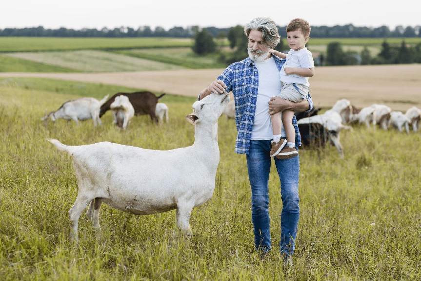 探寻羊奶之源,和羊大师一起穿越历史的美味之旅! (图3) 探寻羊奶之源,和羊大师一起穿越历史的美味之旅! (图3)