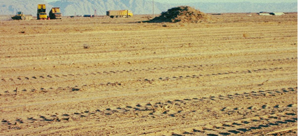 走进巴彦淖尔,探秘一杯“沙漠有机好奶”(图1) 走进巴彦淖尔,探秘一杯“沙漠有机好奶”(图1)