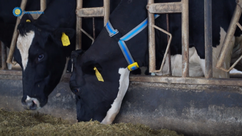 直击2021斯维垦新品发布会,全程高能!(图11) 直击2021斯维垦新品发布会,全程高能!(图11)