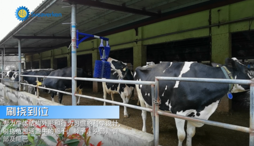 直击2021斯维垦新品发布会,全程高能!(图12) 直击2021斯维垦新品发布会,全程高能!(图12)