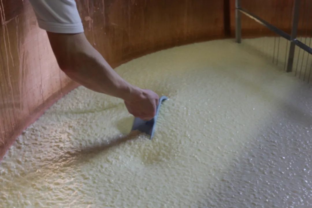 瑞士原产奶酪：将纯净自然带给你(图7)