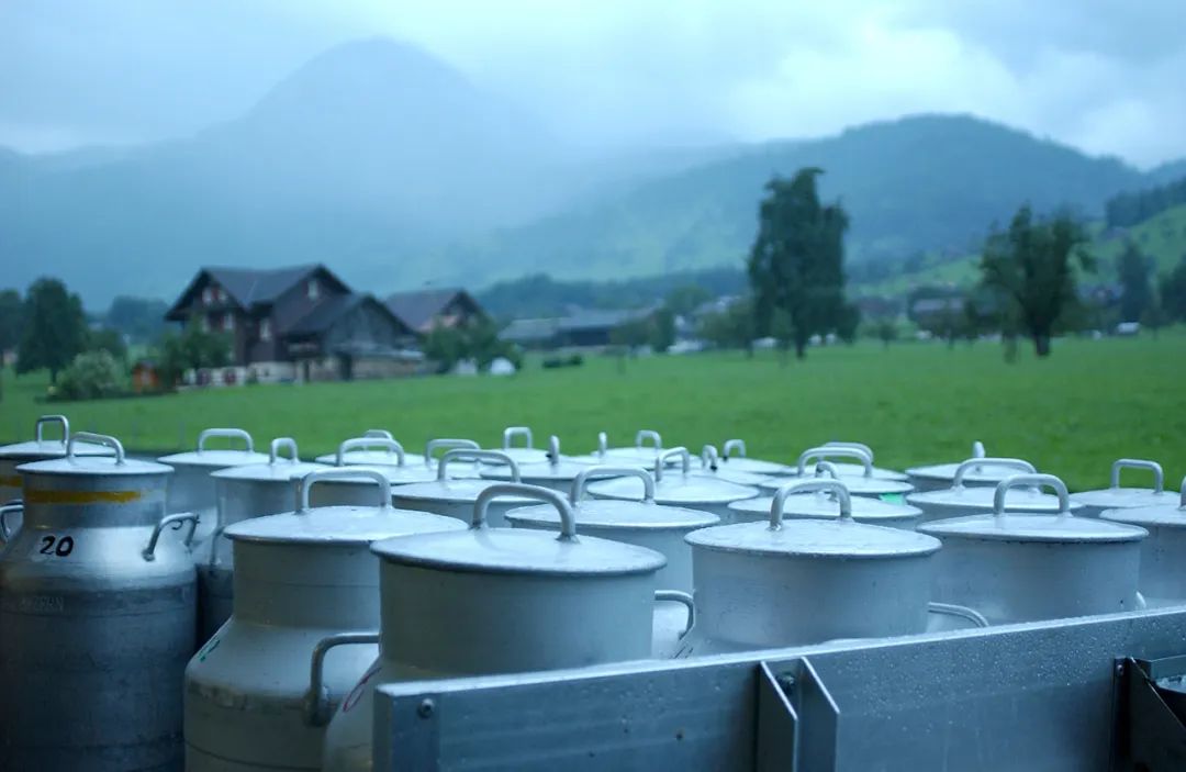 瑞士原产奶酪：将纯净自然带给你(图4)