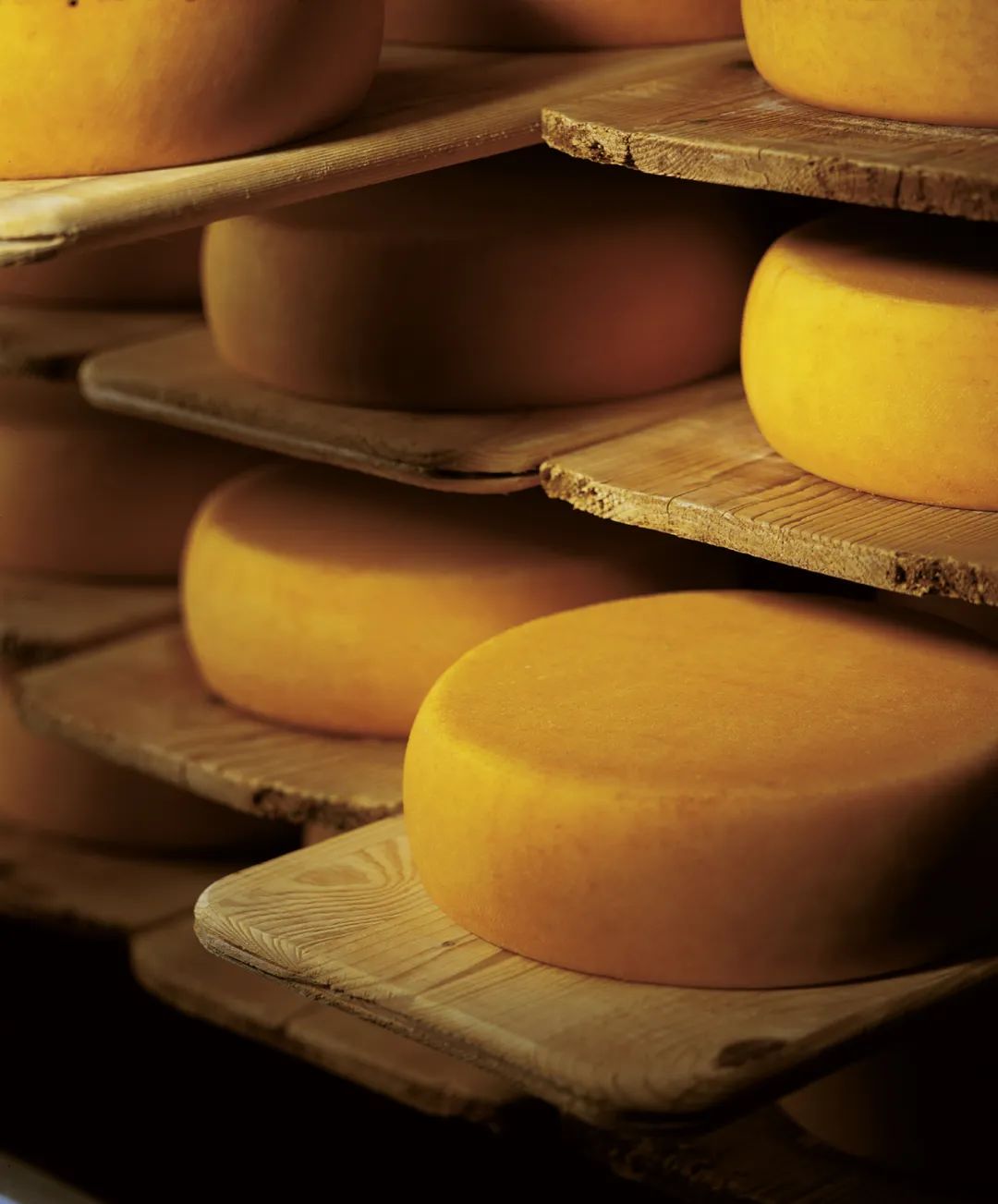 瑞士原产奶酪：将纯净自然带给你(图9)