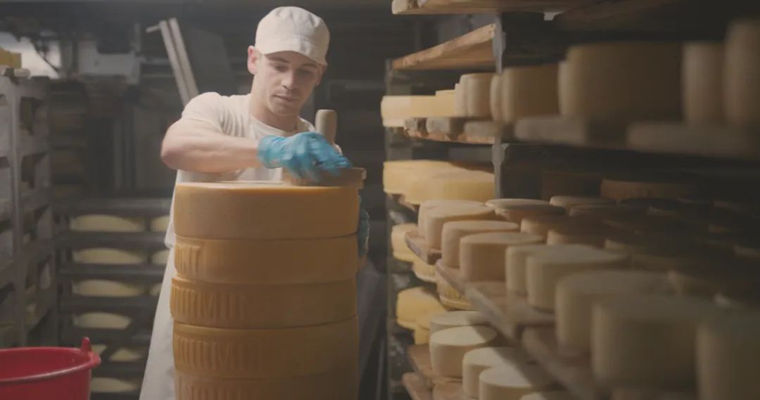 瑞士原产奶酪：将纯净自然带给你(图10)