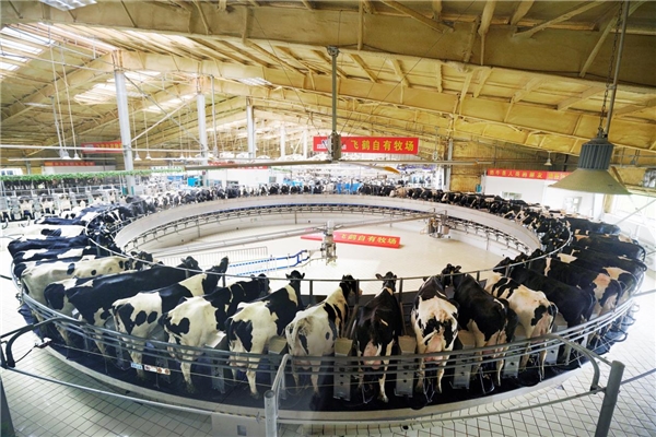 世界顶级美味大奖评选结果揭晓，飞鹤星飞帆卓睿等多款产品上榜(图2)