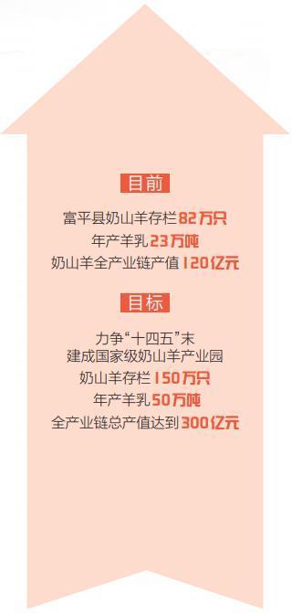 “中国羊乳之都”奏响的现代“牧歌”
