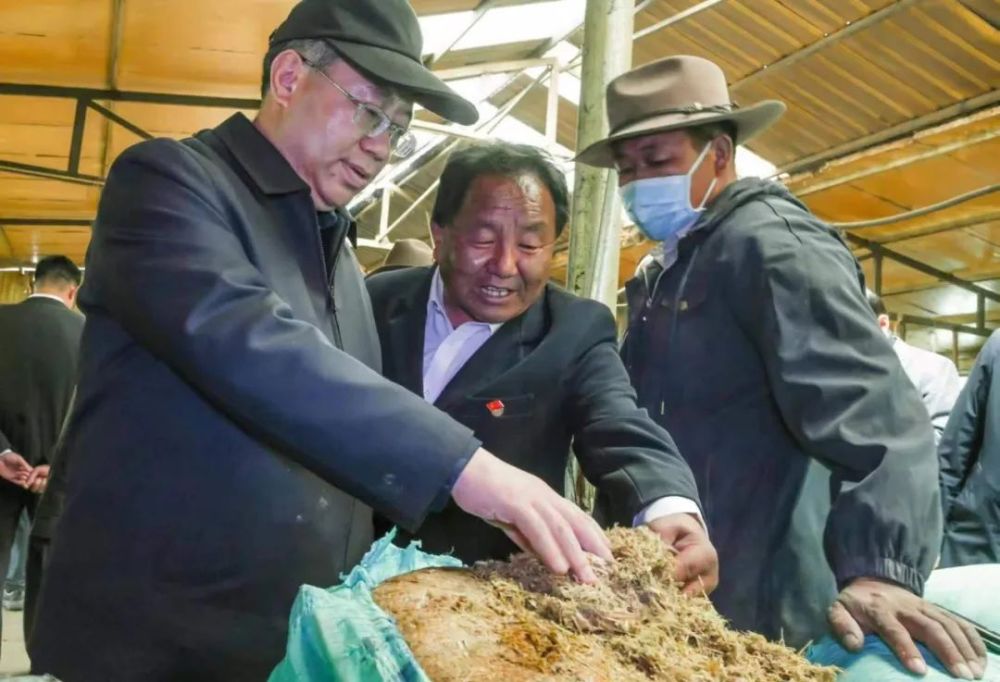 普布顿珠、王强实地调研推进奶业振兴行动并召开现场座谈会(图3)