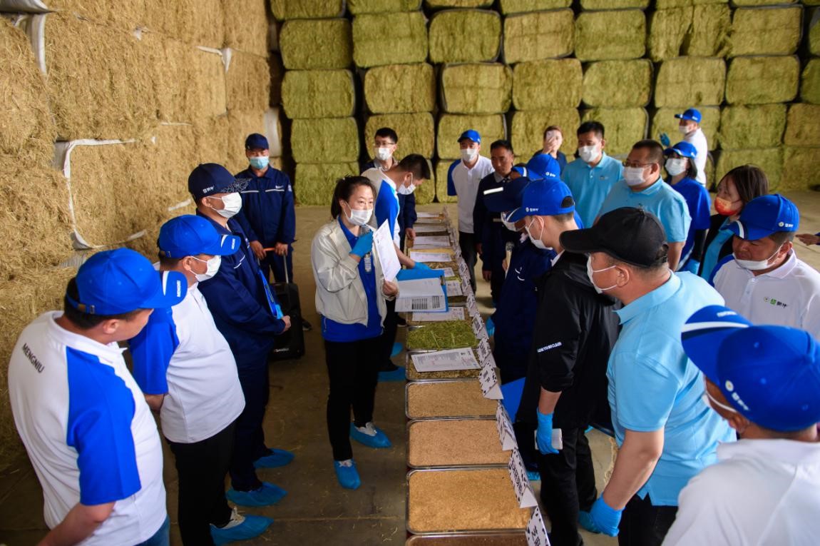 蒙牛率先启动两大行动：推广国产苜蓿青贮替代进口、启用绿色低碳鲜奶运输新能源车(图2)