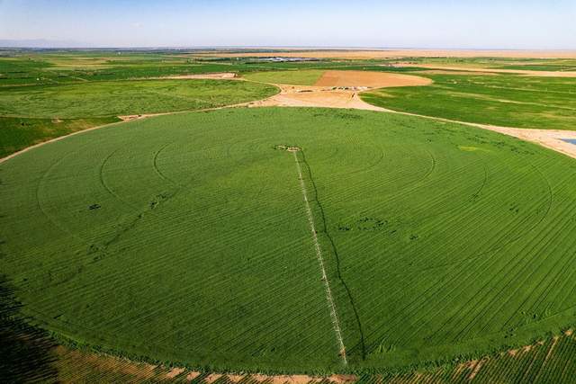 达沃斯论道:蒙牛的绿色发展“加减法”(图2) 达沃斯论道:蒙牛的绿色发展“加减法”(图2)