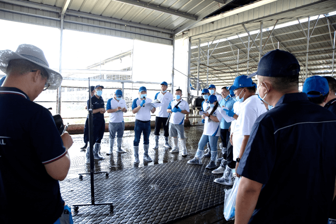 “数字奶牛金钥匙”蒙牛专场走进黑龙江大庆、内蒙古通辽 (图4) “数字奶牛金钥匙”蒙牛专场走进黑龙江大庆、内蒙古通辽 (图4)