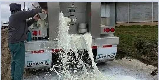 美国每天要倒掉至少1000万升的牛奶，30年代大萧条时期的情景再现(图1)