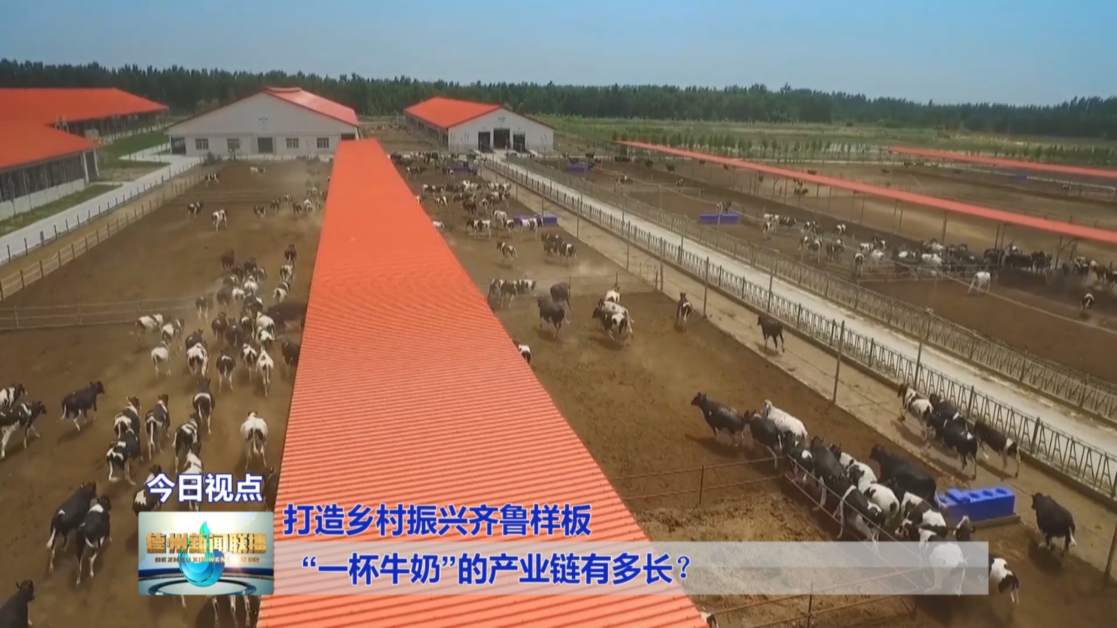 “一杯牛奶”的产业链有多长？【打造乡村振兴齐鲁样板】1