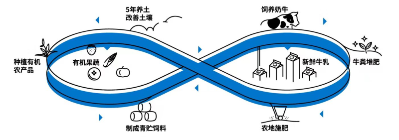 选择朝日唯品的关键动作(图5)