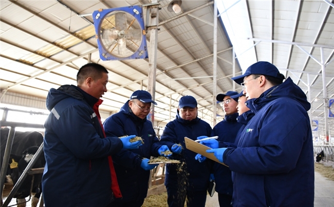从一棵草到一杯奶：蒙牛“产业兴农”模式如何为乡村振兴注入乳业力量
